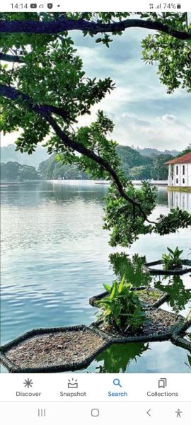 Charlton Kandy City Rest